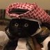 Halal Pacino (@bre4kingbad) Twitter profile photo Halal Pacino (@bre4kingbad) Twitter profile photo