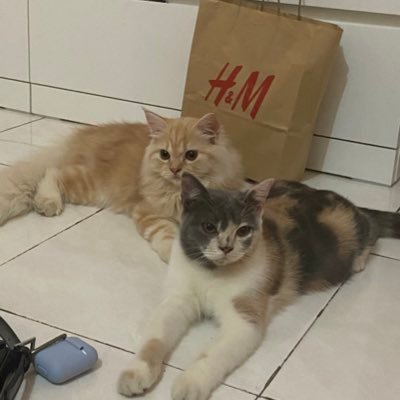 dwhmdn's profile picture. hello🤗