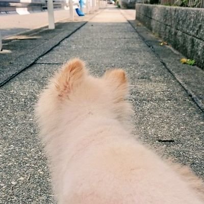 ぎがにしさんのプロフィール画像