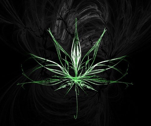 blkqt81's profile picture. 