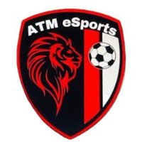 ATM eSports (@atmesports24) 's Twitter Profile