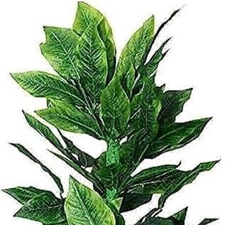 Saathi_deepu's profile picture. 