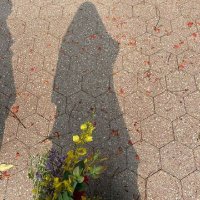 Śoükaïna Ãskaļ (@soukaina_askal) 's Twitter Profile