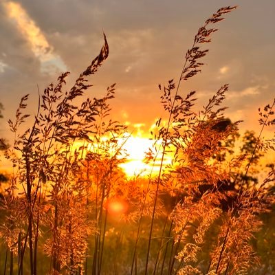 verolero33's profile picture. 