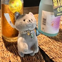 ｼｽ (@_kurusum) 's Twitter Profile