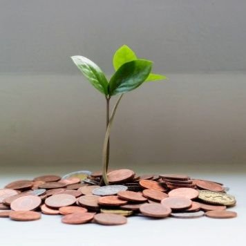 Bonniane's profile picture. Success is non-negotiable,Trust is peace#Blue is the colour💙