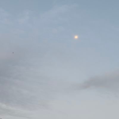 chibe999's profile picture. 