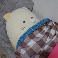 とんねび (@tonnebi_ap) 's Twitter Profile