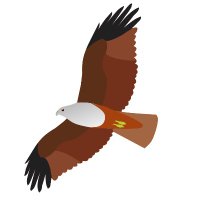 nftkite (@nft_kite) 's Twitter Profile