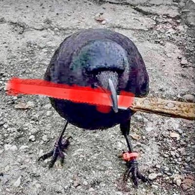 Darth_Corvus