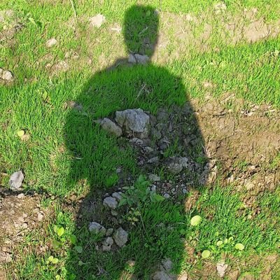 Yugal_Y's profile picture. we tweet things we can't say