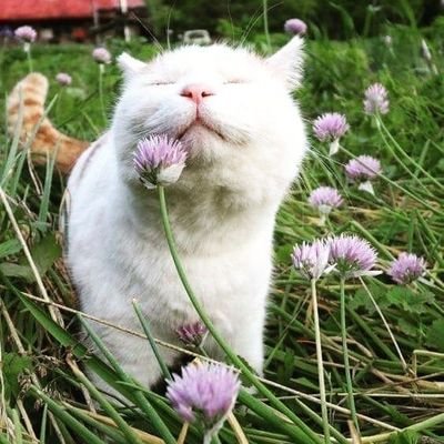 GabrielaZadina's profile picture. Opera lover