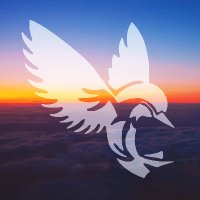 Forest:Archaic Collective (@forestcollectiv) 's Twitter Profile Photo Forest:Archaic Collective (@forestcollectiv) 's Twitter Profile Photo