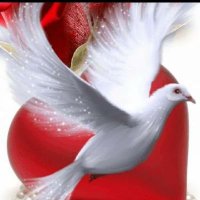طيب (@g594221017) 's Twitter Profile