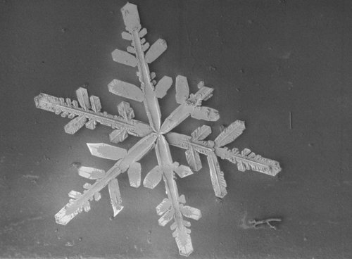 g_roda's profile picture. carpediem.