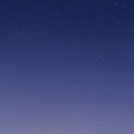 PaolaSalcedo's profile picture. 