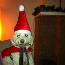 Deirdre M Dowd - @deirdre_dowd - Twitter