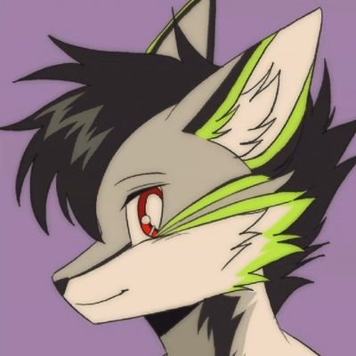 🇨🇭 Swiss furry 🐺/20/✒️📚Come say hi !
✨💚     Profile pic by @fallkyn_