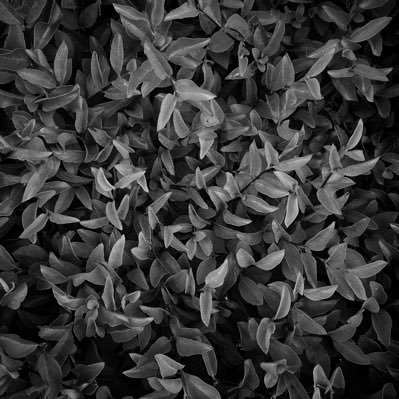 AngelMultidime1's profile picture. 