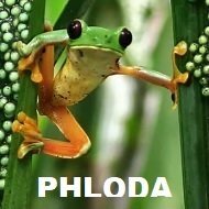 phlodaji's profile picture. Man of intelligence, humor, and true tolerance. Not the fake kind.