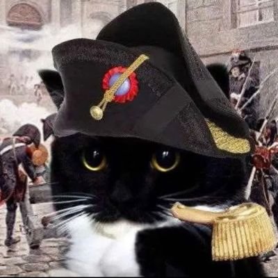 Hellozika2's profile picture. Carioca