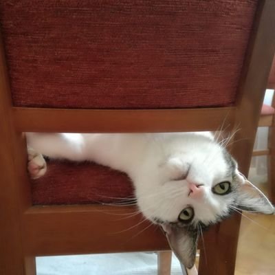 Ruprecht van der Lykke