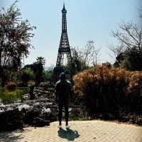Wëllingtön (@we111ngton) 's Twitter Profile