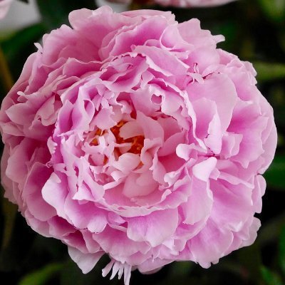 MagicSpace2022x's profile picture. I love the cryptoworld