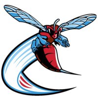 ECSatDSU (@echs_at_dsu) 's Twitter Profile