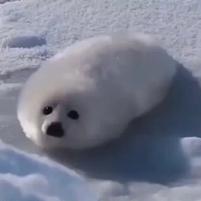 zhutianjian2's profile picture. 将死不死的土地神和气球。