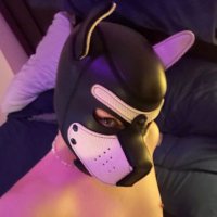 twinky pup (@twinkywolf) 's Twitter Profile