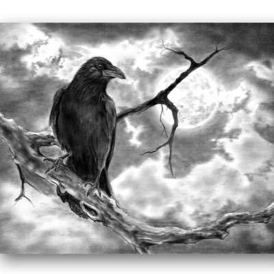 _awalll's profile picture. Nothing special about me✌️✌️✌️