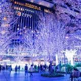 2024年12月7日(土) 福岡市内で「元&現JW 九州オフ」を開催します♪
☆オフ会告知用アカウント☆