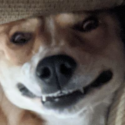 Wascally_Wonin's profile picture. Aspirating vagabond, sovereignty enthusiast, recovering lurker, long walks on the beach, etc...