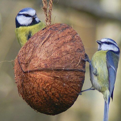 Warategmun's profile picture. oh for goodness sake!