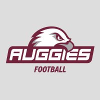 Augsburg Football (@augsburg_fb) 's Twitter Profile