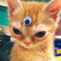 James Sam (@420samram) 's Twitter Profile