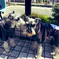 🌈RIKU&SORA🌈(@R0307_S0824) 's Twitter Profile Photo