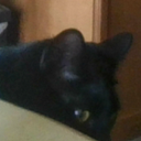 David Burford - @highjaques - Twitter