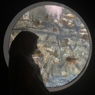 dwshlm's profile picture. random thoughts.