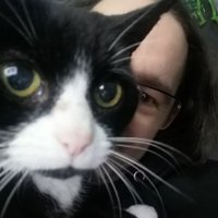 Steve of the Dead (@punished_steve) 's Twitter Profile Photo Steve of the Dead (@punished_steve) 's Twitter Profile Photo