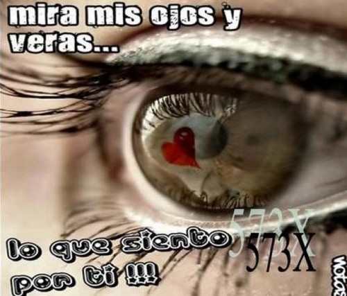 nibaldomartinez's profile picture. 