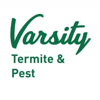 varsity_pest Profile Picture