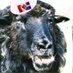 Q..uebec A NON! (@quebecanonn) Twitter profile photo