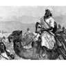 Yahouhaha's profile picture. 