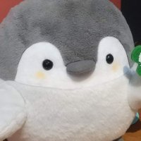 アリス🐈‍⬛ (@colour__) Twitter profile photo