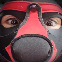 PupBlake (@puppblake) 's Twitter Profile