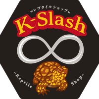 レプタイルショップ∞K-slash(@K_slash1982) 's Twitter Profile Photo