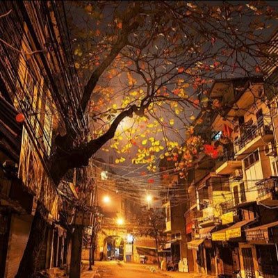 DencoVo's profile picture. 