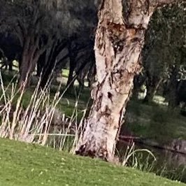 👩👦single mother | Just a lady who likes to travel and work.,Glad to see all the tweets on Twitter🇦🇺🇺🇸 Healthy Co-Gathering, Technological Creation.